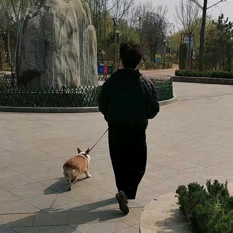 雾化加湿器，各种高压泵🔥🔥🔥