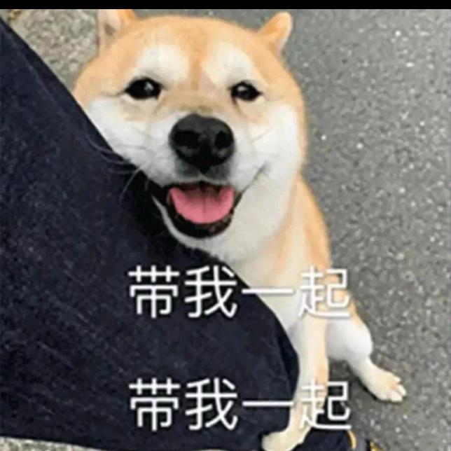 𝟐𝟏𝟔𝙓𝙏？