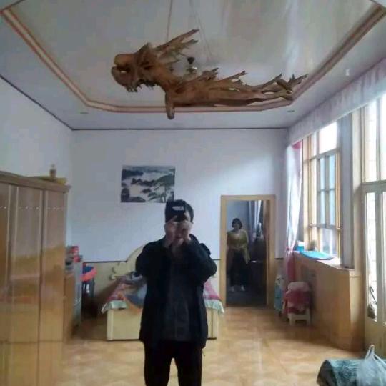 崖柏铲屎官