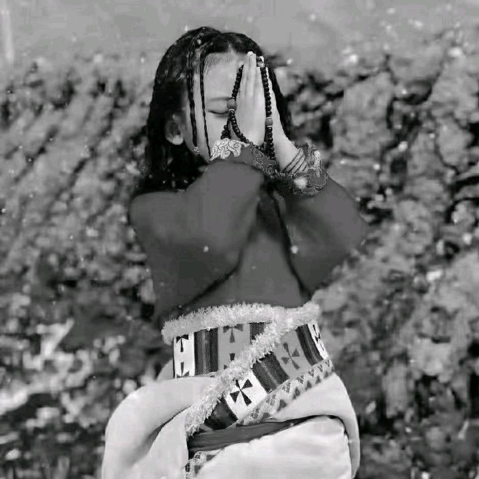 🌺草原姑娘🌺