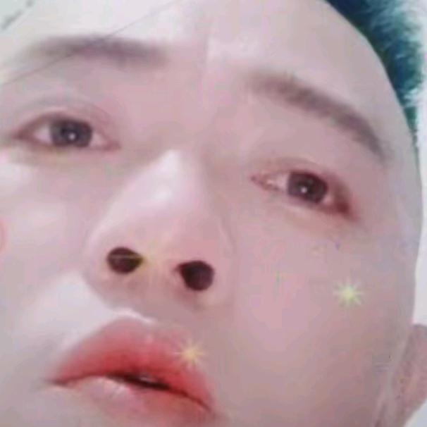 小龙药材种植与采集