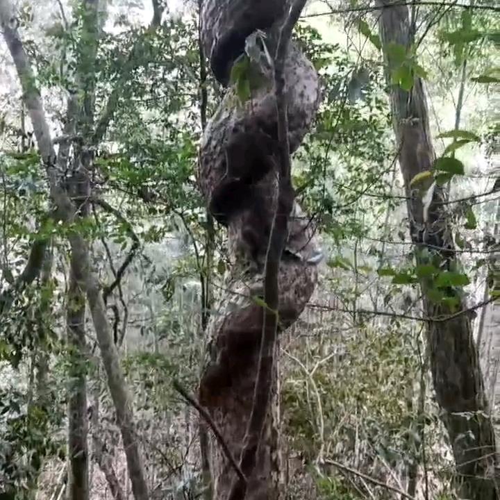 财
