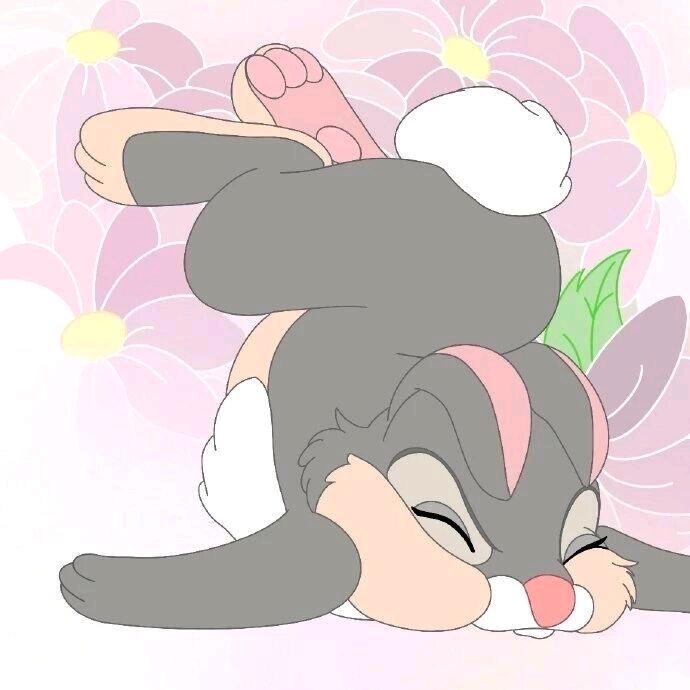 Zzoo_TwT