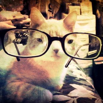 饺子     你的关注（୧⍤⃝🍓）