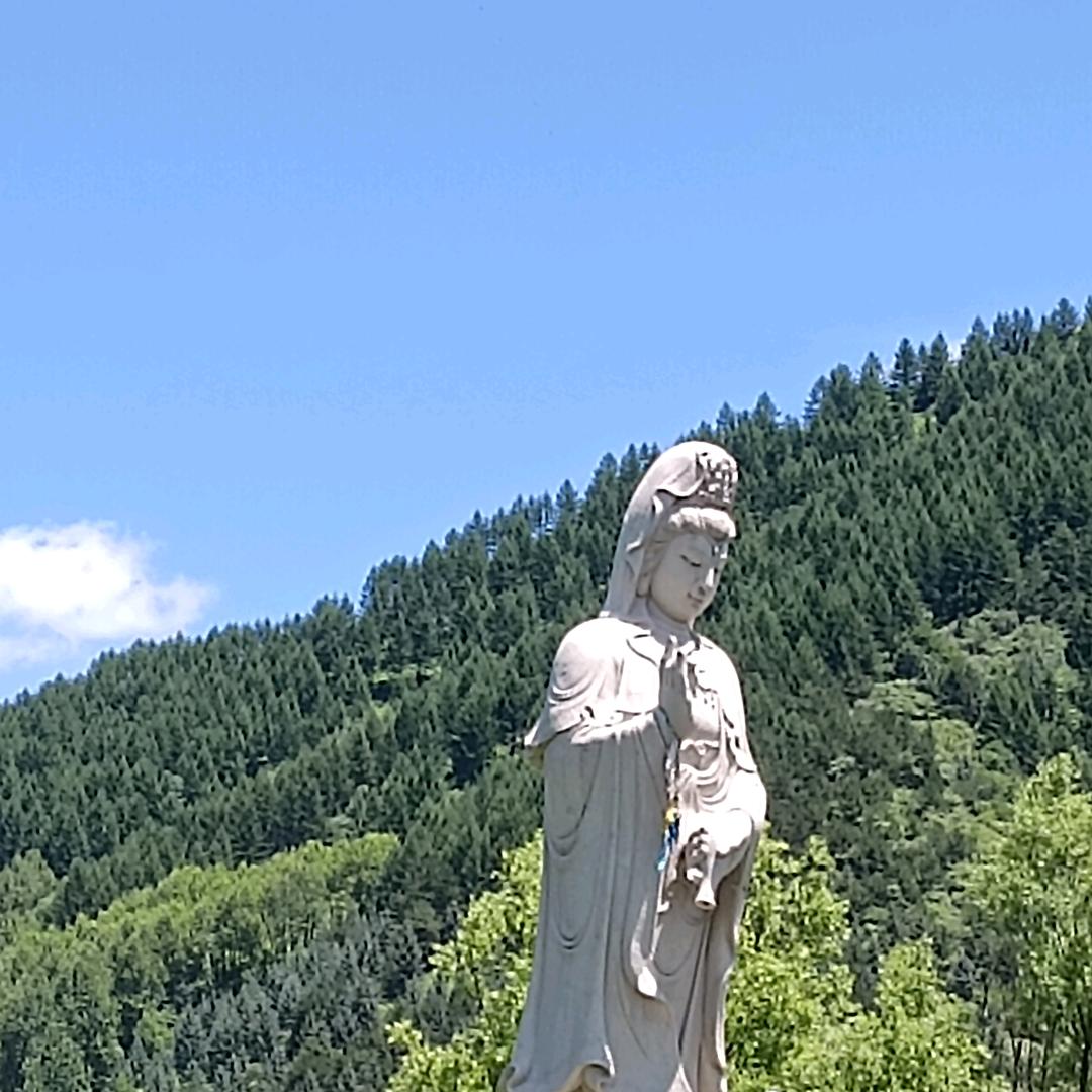 再苦再难都要往前行