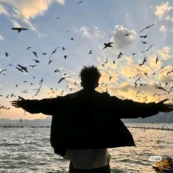 福州仓山小麦房产李阳光