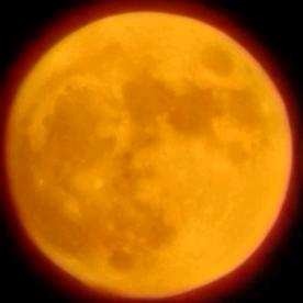 🈚雙🪽🪽自由魂魄👻