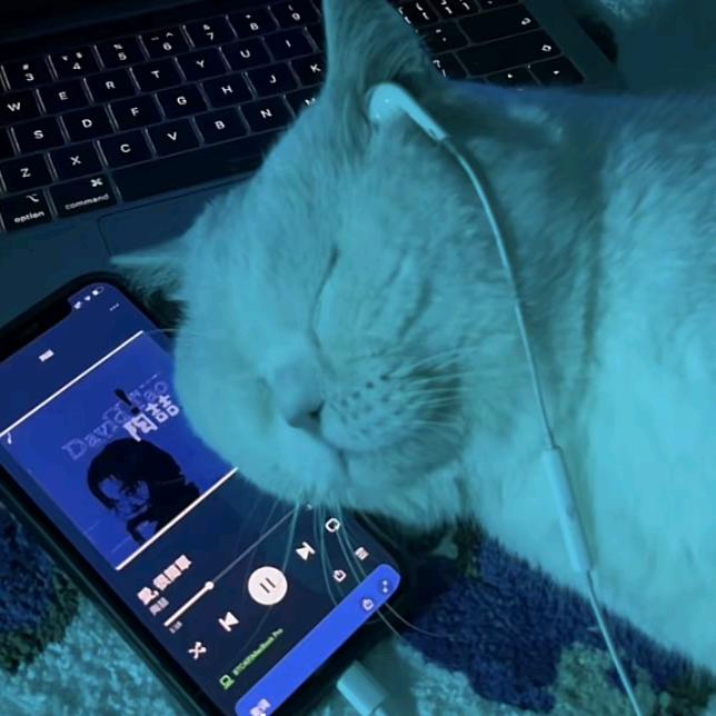 Don't waste it（登船版）