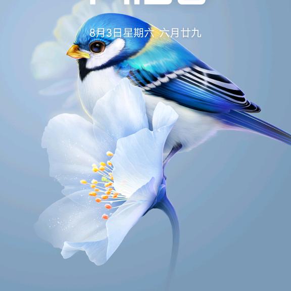 乡村乐