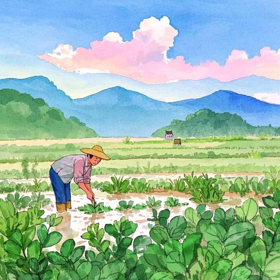 抖音正能量