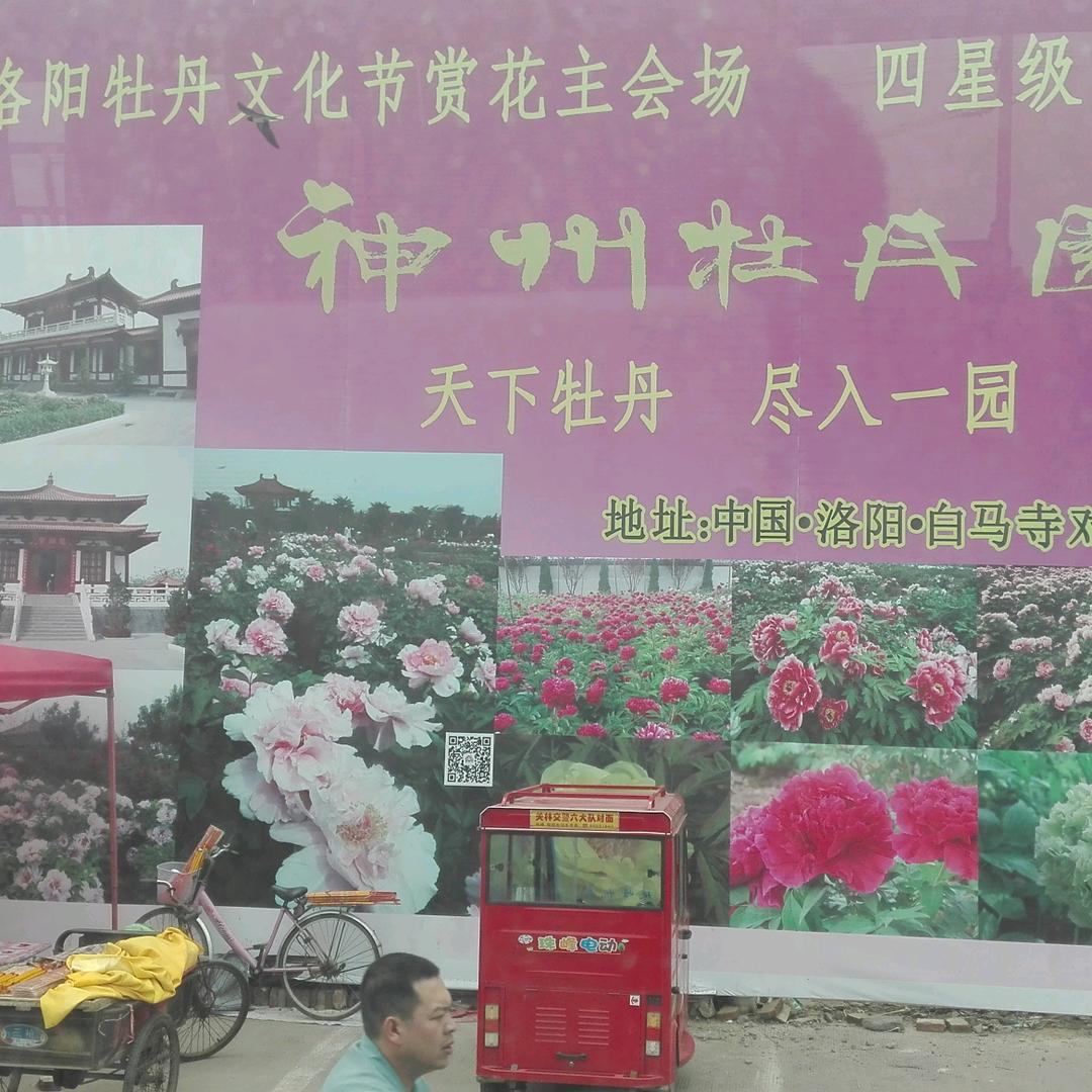 室内乳胶漆装饰