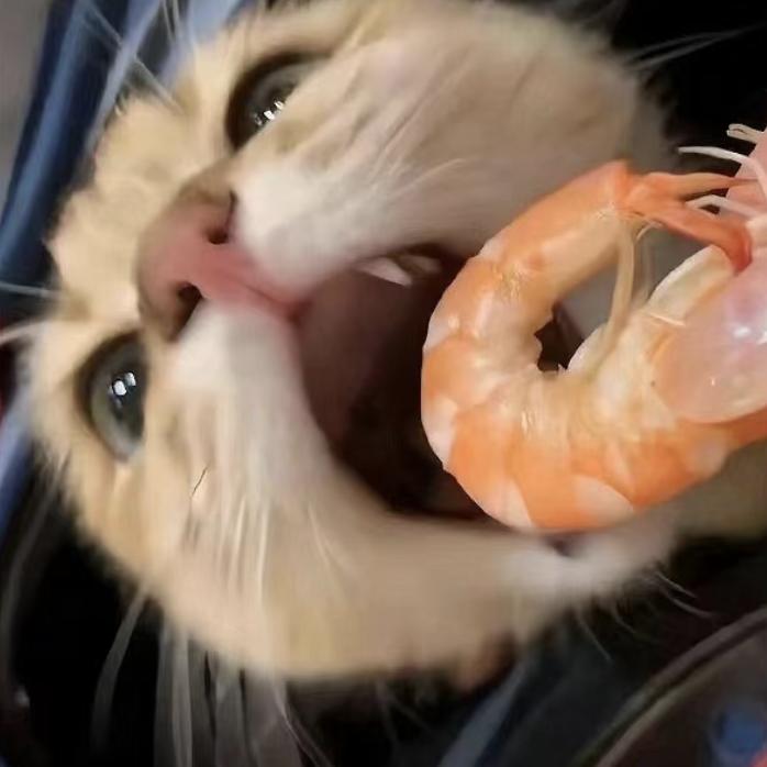 ^喵^