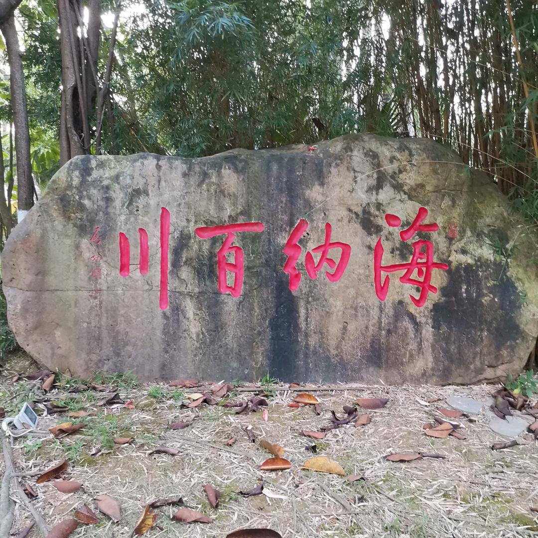 天天开心—开心天天