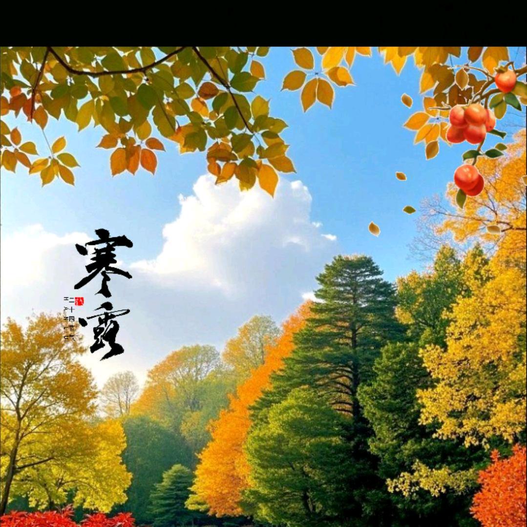 @龙娃吉祥@