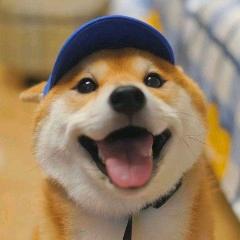 有人偷偷的看了你一下🐾️