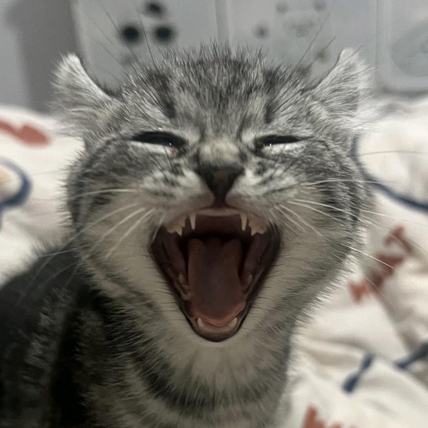 高高高高高高高高高高高高高高高高高高