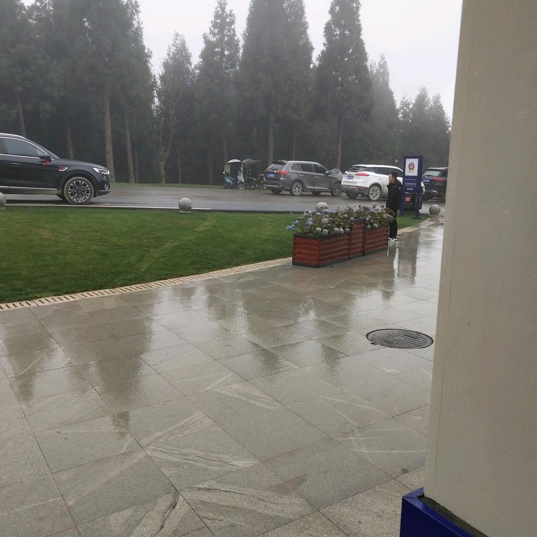 陈心如意