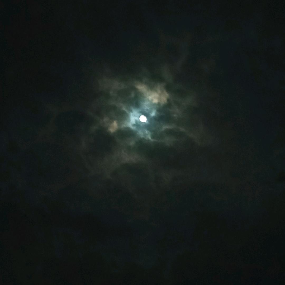一杯清水头像