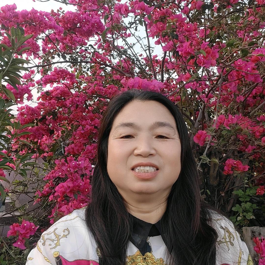 张茶仙