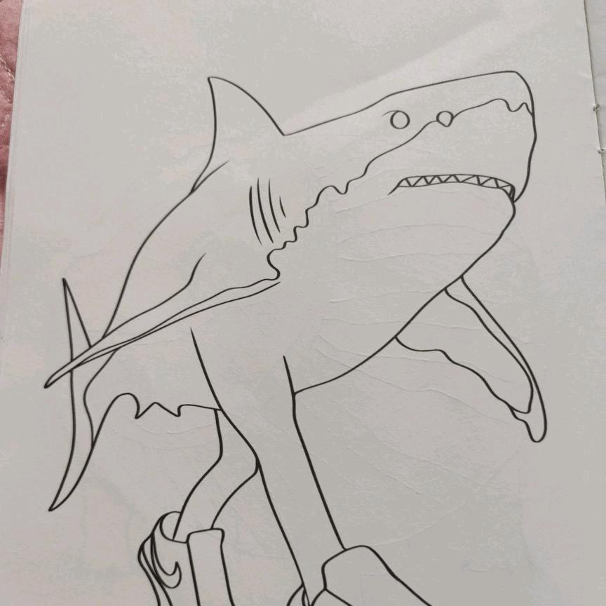 第五人格专属管理员