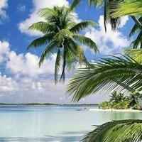 💞ℒᎭℯ⃝余生ᩚ安ᮨ໌້好