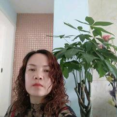 爱唱歌的燕子