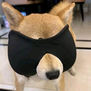旧巷