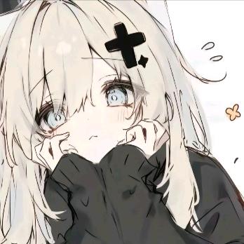 洋柿子