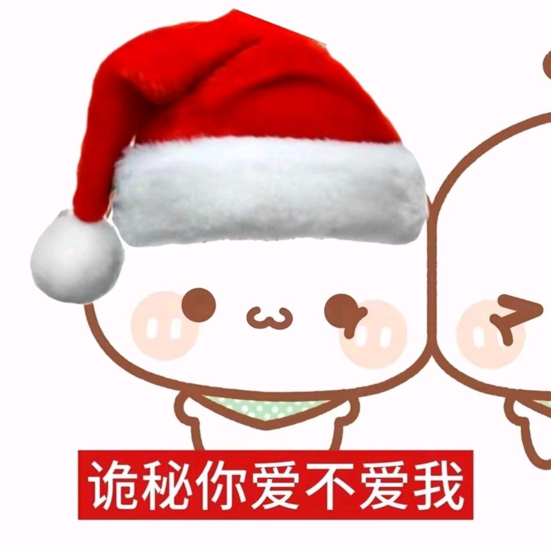 养只猫叫我们