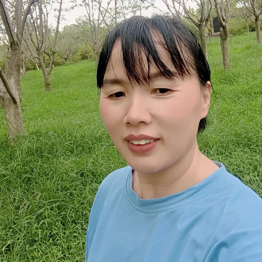 沈芯