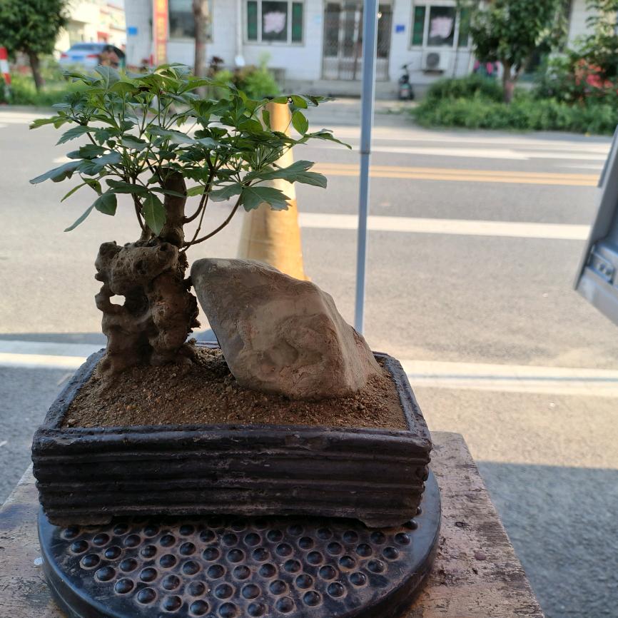 笑敬过往