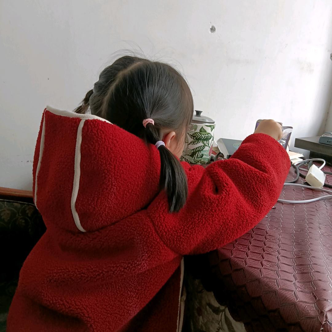 兰花草