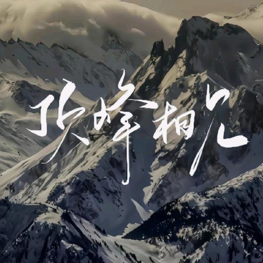 不务正业的二手车贩子