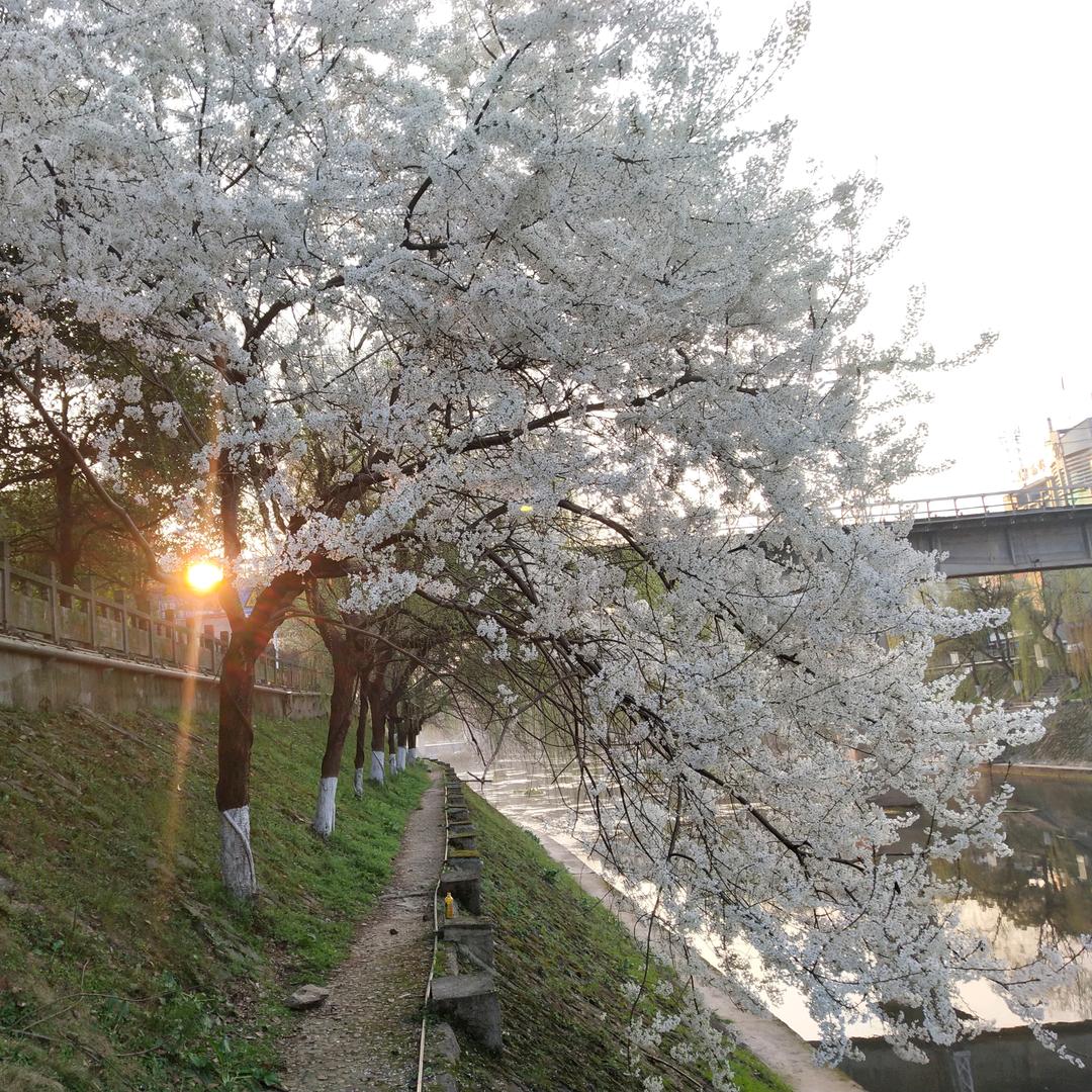 那年夏天遇见了你