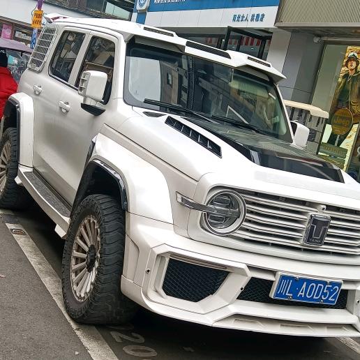 大漠苍狼