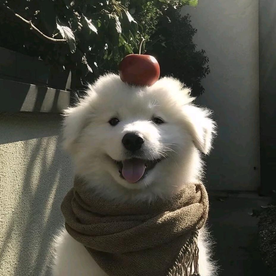 ..拼卓卓%