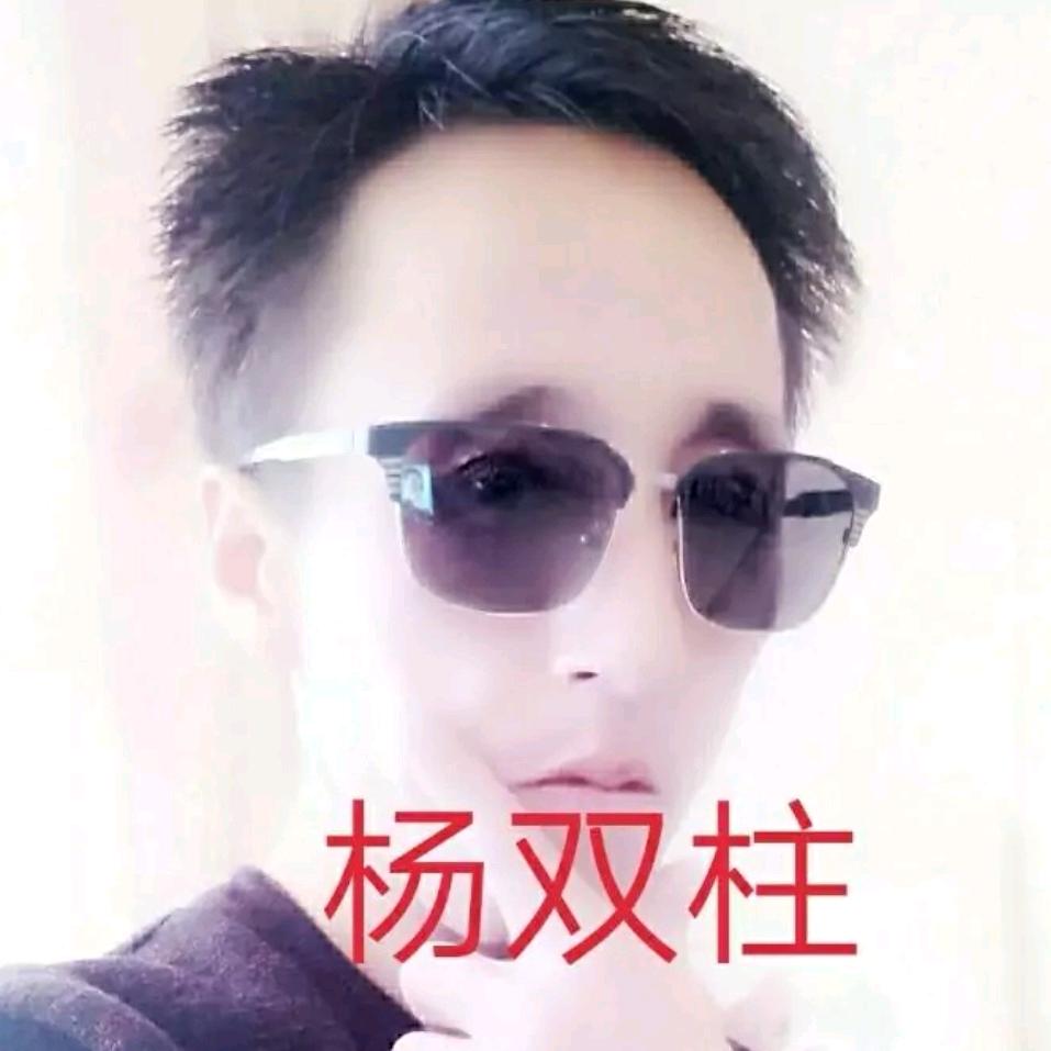 杨双柱