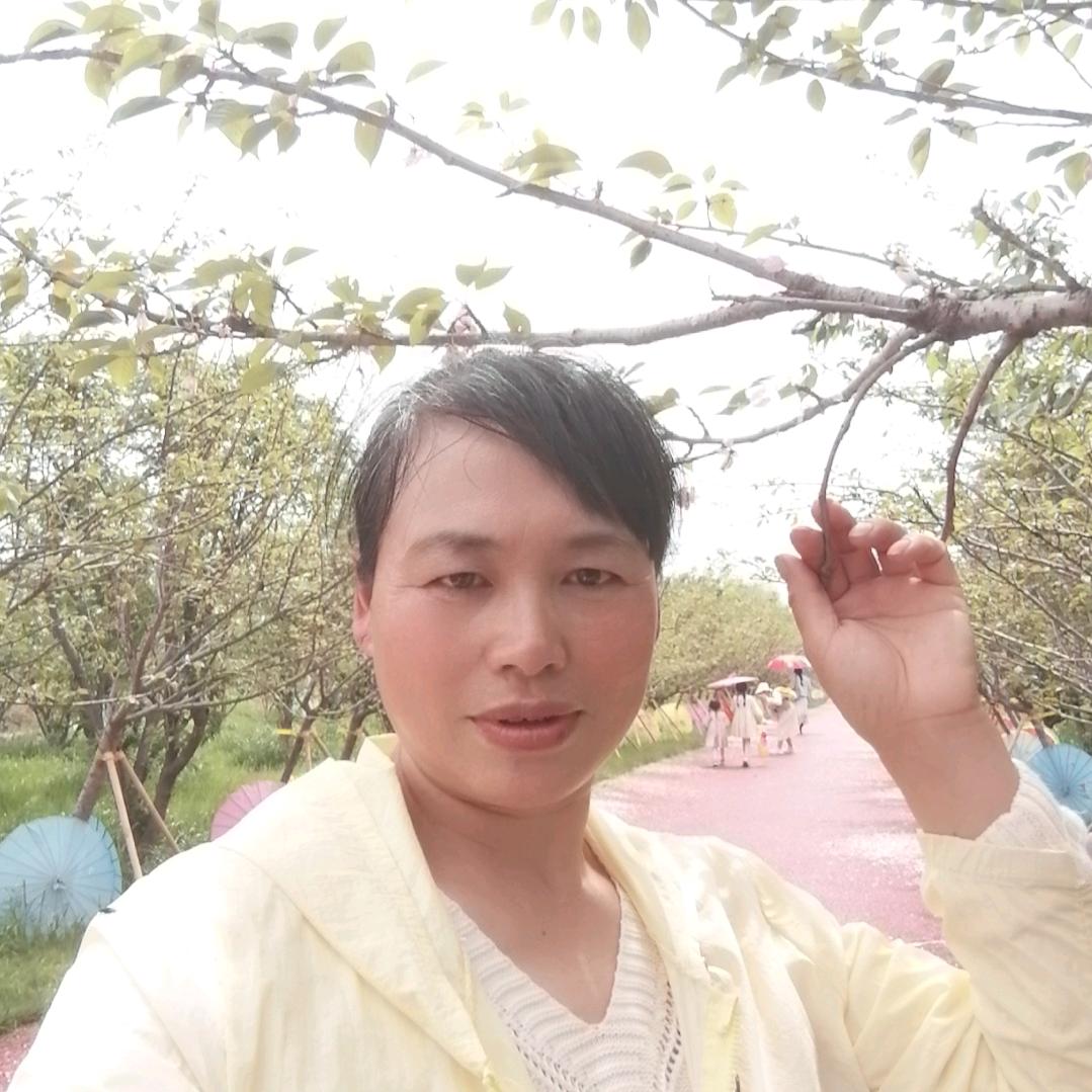 鑫想事成.