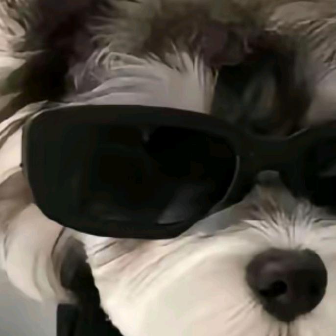 夏一鸣（5月20号）