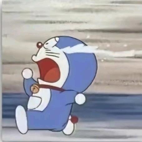 卡比今天吃了啥