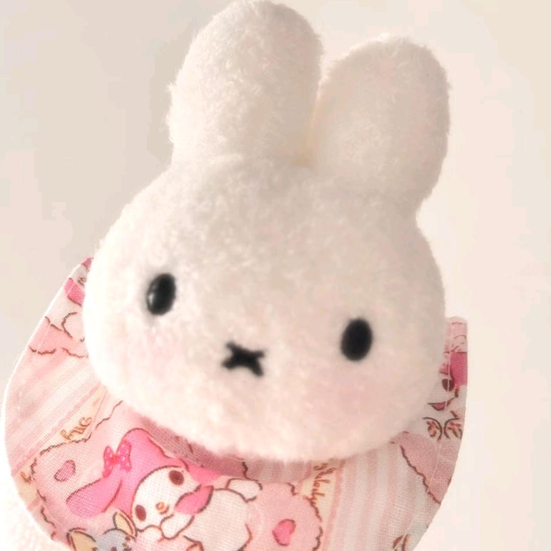 我下次不偷吃火鸡面了