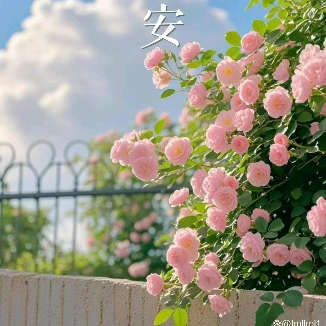 。。。。。