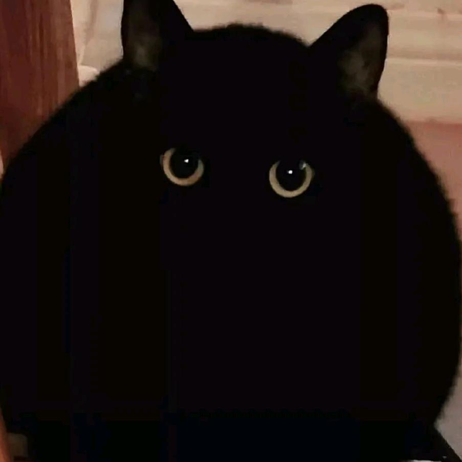ℓ头像