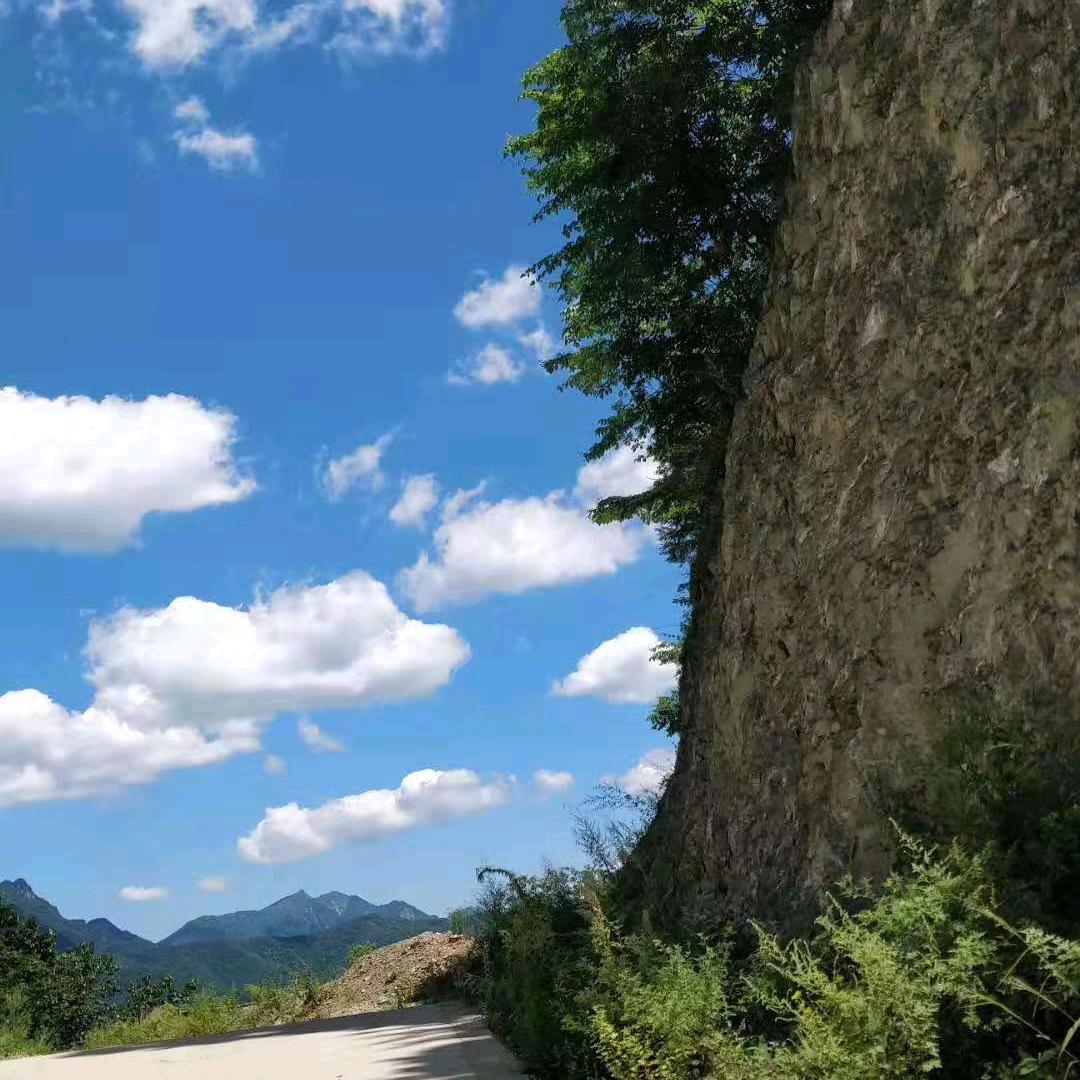 莫忘609