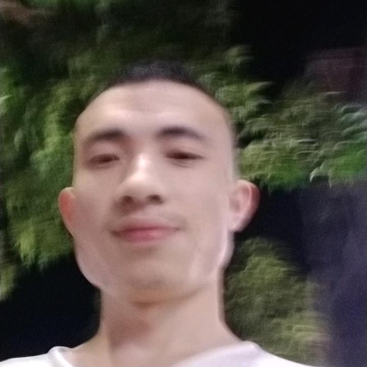 鉴江半岛的光羽头像