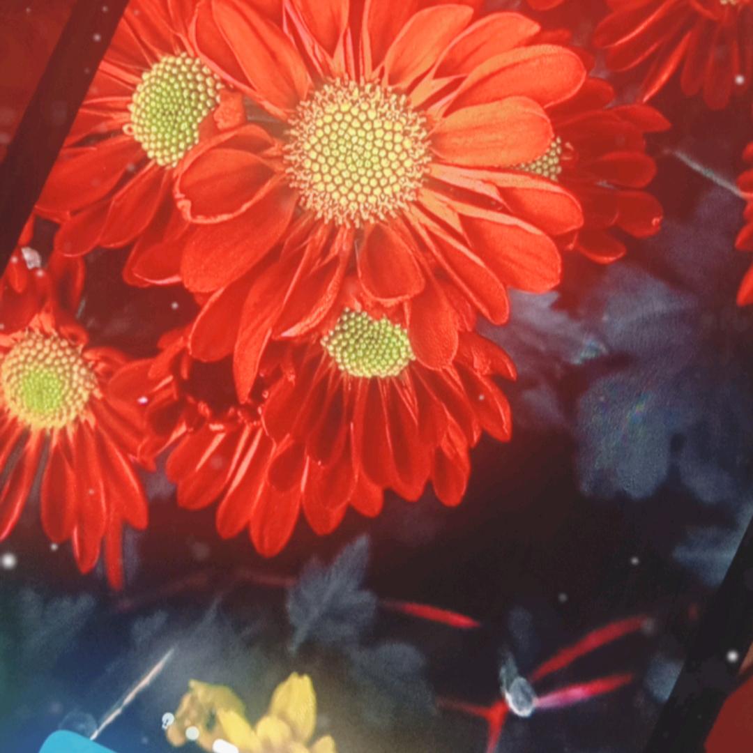 兰花
