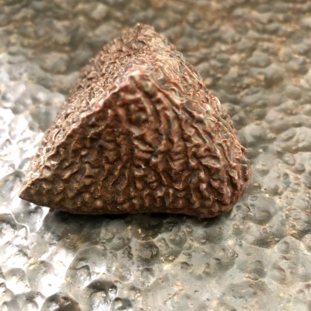 大美新疆戈壁石农