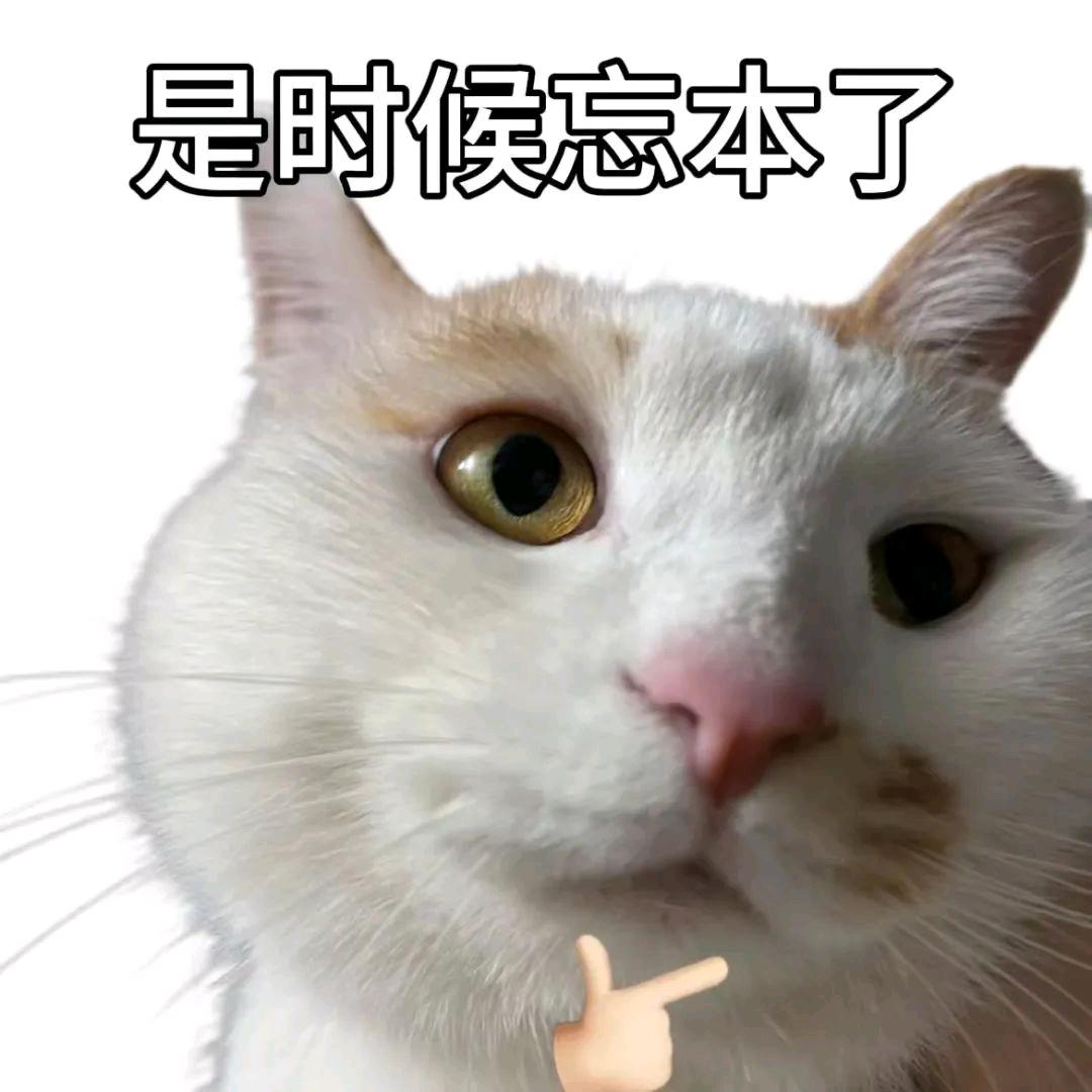 芝士火鸡烤冷面