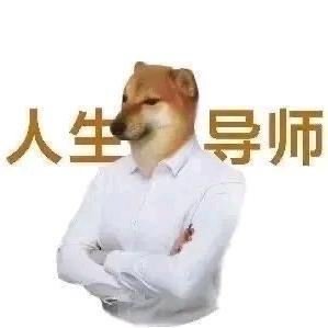 暴龙导师