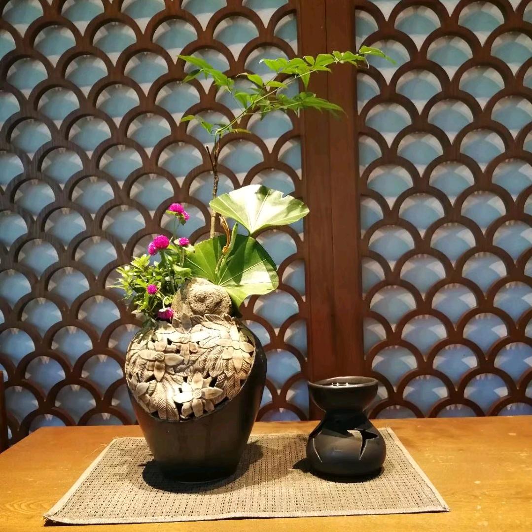 胡馨月